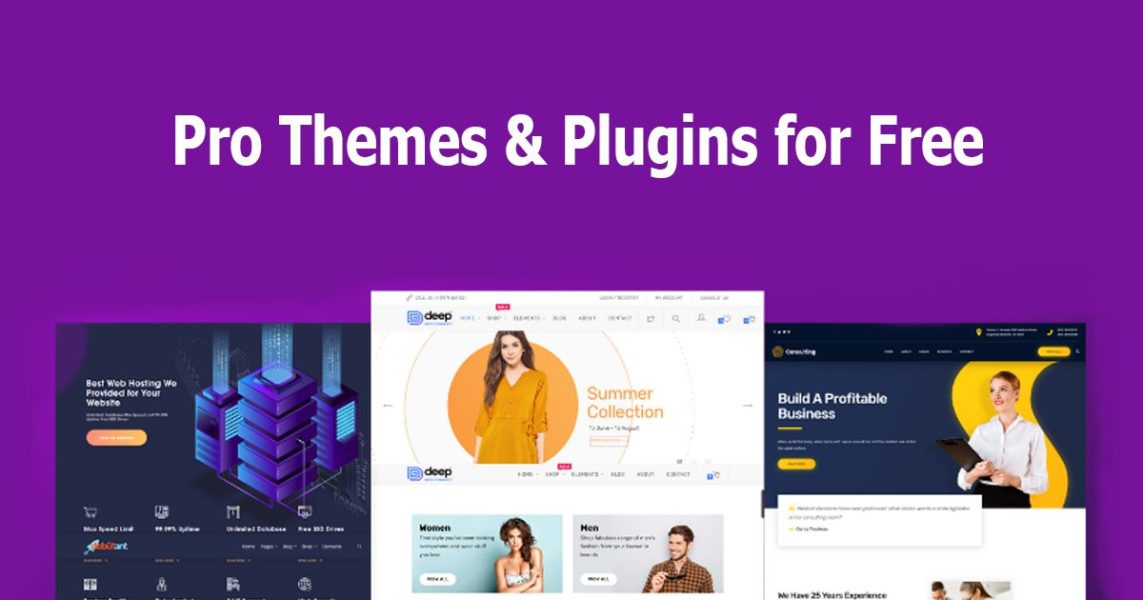 Themes and Plugins