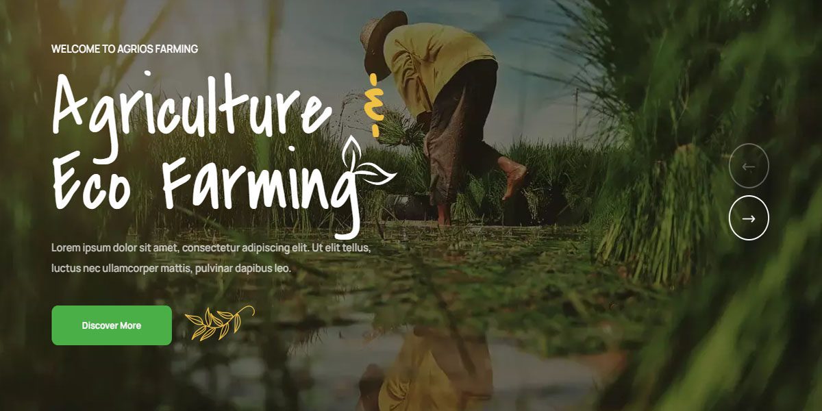 Agrios Theme Free Download